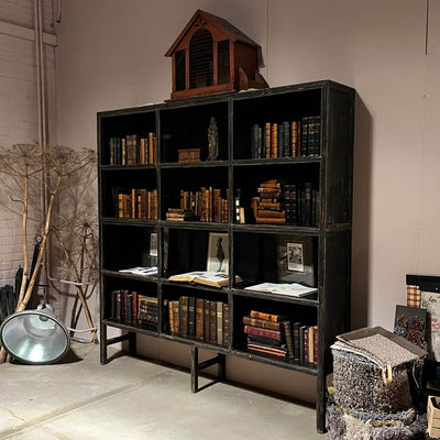 Old Chinese cabinet from black elm wood – D011