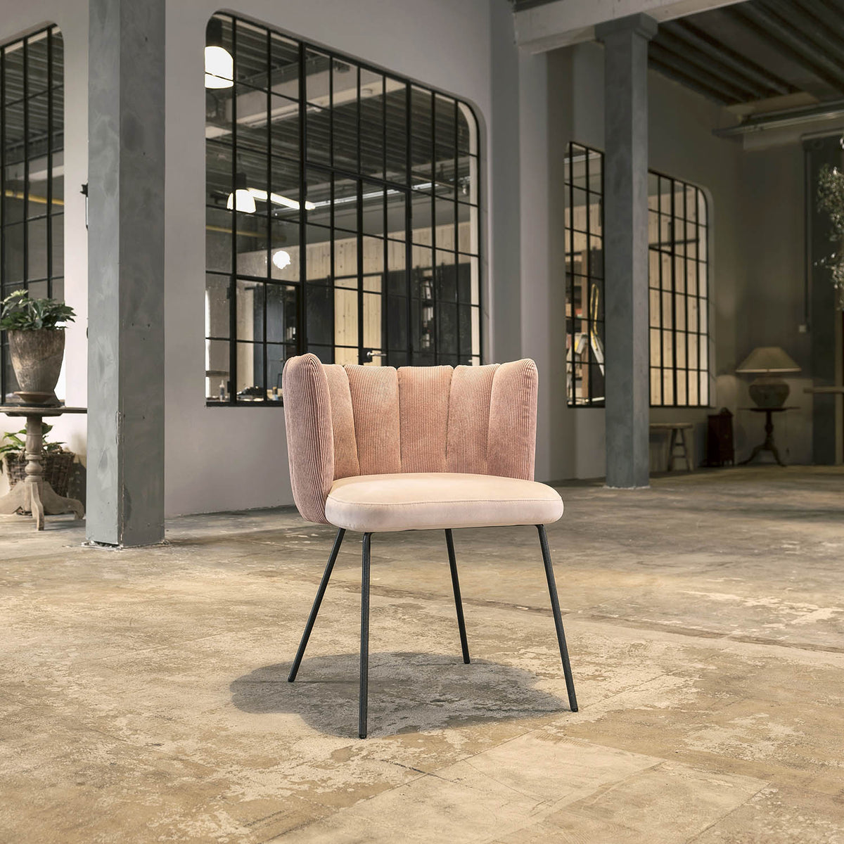 Modern dining chairs with armrest | KFF Gaia | S31